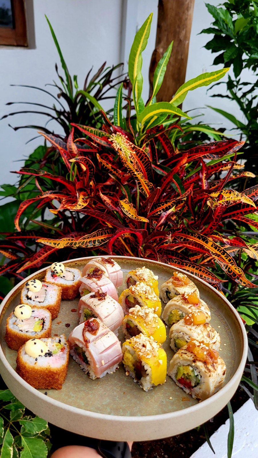 A plate of seared, mango-glazed and crispy specialty rolls against a red croton plant